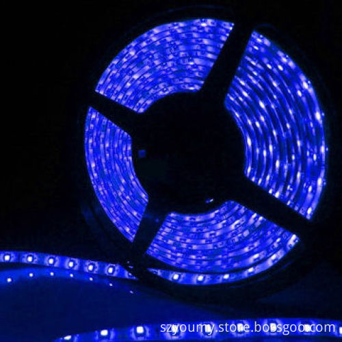5M/Piece IP65 300leds SMD 3528 Flexible Strip Lights with 12V DC Input VoltageNew